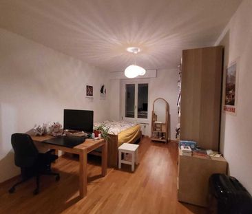 APPARTEMENT 4 PIÈCES À LUCERNE, MEUBLÉ, TEMPORAIRE - Foto 2