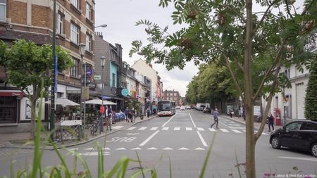 Avenue de l'Universite, 1050, Ixelles - Photo 5
