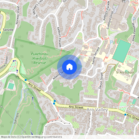 36A Adams Terrace, Aro Valley, Wellington City