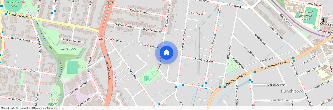 80 Columbine Avenue, NSW 2196, Punchbowl