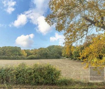 Weavers Cottage, Swanton Abbott, NR10 - Photo 5