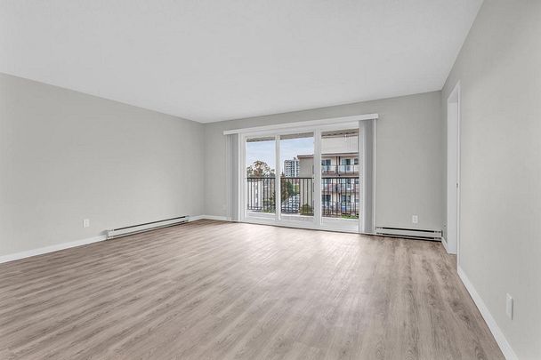 1 Bedroom - Renovated - Photo 1