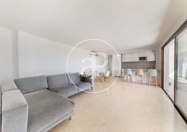 Ground floor apartment for rent in Palmanova
