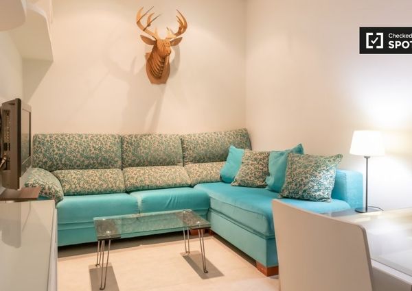 Calle de Don Ramón de la Cruz, Madrid, Community of Madrid 28001