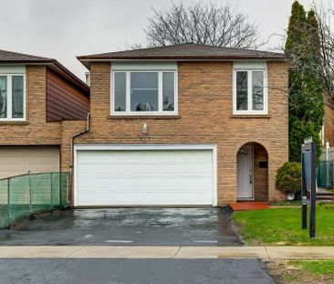 For Lease - 237 Braymore Boulevard Unit# BSMT, Toronto, Ontario - Photo 2