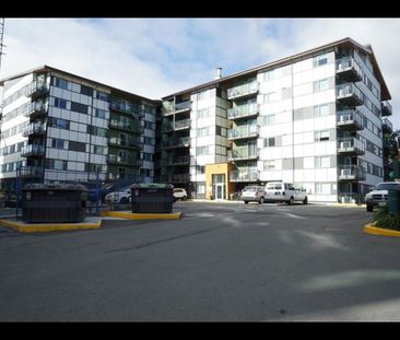 Meaford Heights Apartments | 728 Meaford Avenue, Langford - Photo 1
