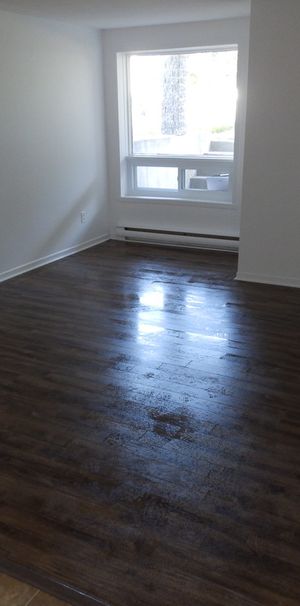 Logement 4 1/2 Demi Sous-sol Triplex - Photo 1