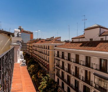 Wonderful room in Preciados - Photo 3