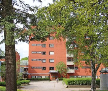 Plangatan 6 - Foto 3