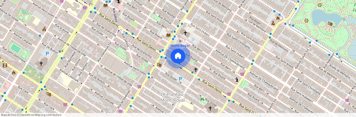 4435 Rue St Denis, Montréal (Le Plateau-Mont-Royal), QC H2J