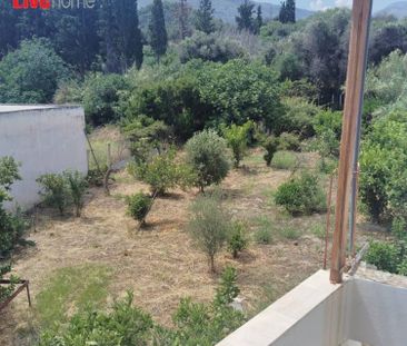 Μονοκατοικία για ενοικίαση Λυκοποριά (Ευρωστίνη) - Photo 4