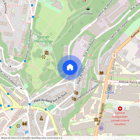 1005, Lausanne, Chemin De Montmeillan, 12