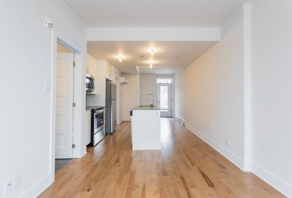 4312 Av. Papineau, app.301, H2H 1S9, Montréal - Photo 1