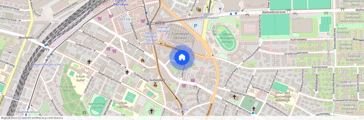 Salerstrasse 19, 8050, Zürich