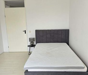 Appartement meublé de 3 pièces sur Putselaan, Rotterdam - À louer - Photo 3