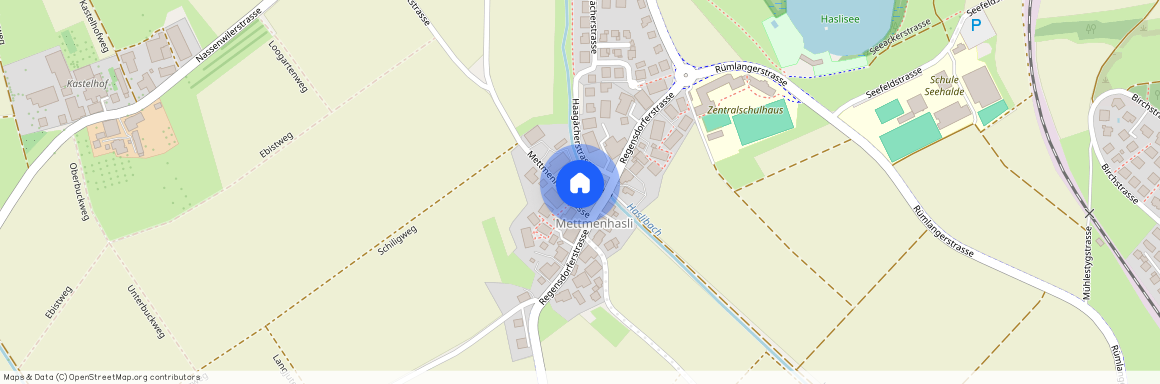 8155, Niederhasli, Mettmenhaslistrasse, 4