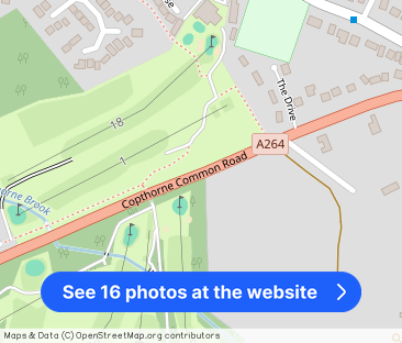 Copthorne Common Road, Copthorne, RH10 - Photo 1