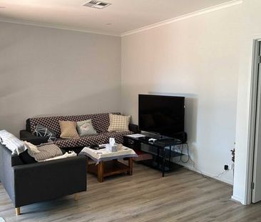 4-bedroom shared house, Murray Street - Photo 1