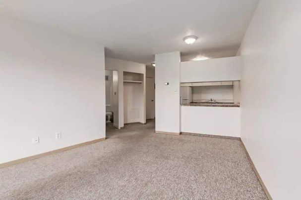 2 Bedroom - Photo 1