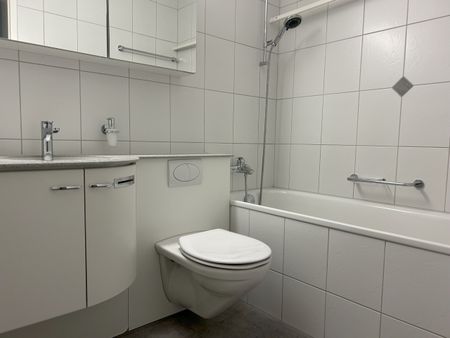 5 1/2-room attic apartment with a beautiful terrace - Foto 2