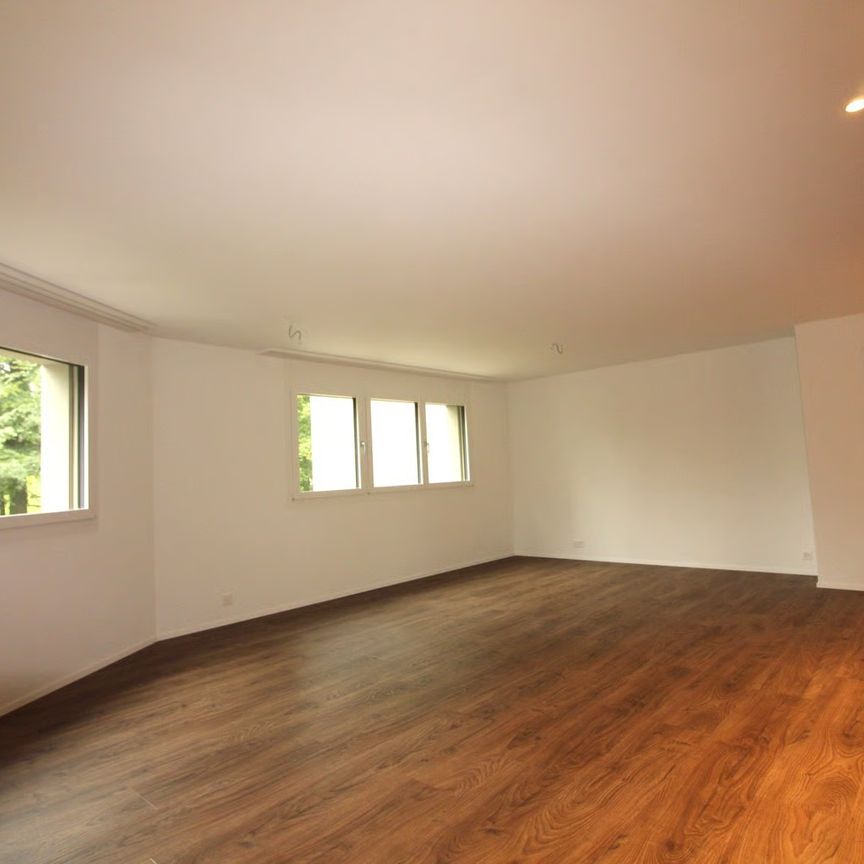 3.5 Zimmer, 95 m², 1. Stock - Photo 1