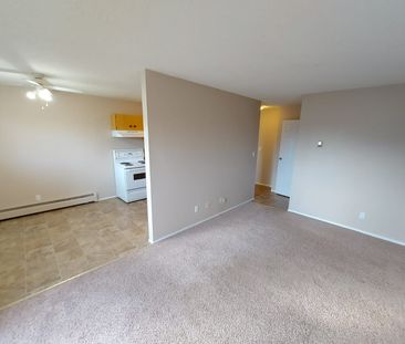 Beautiful 1 Bedroom Available Now! In Suite Laundry! - Photo 4