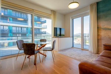 Luxury apartment for rent in Water Front city residential complex - Fotó 5