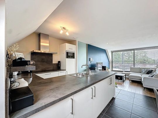 Dakappartement met 2 slaapkamers en groot terras op de grens tussen Balen en Mol. - Foto 1