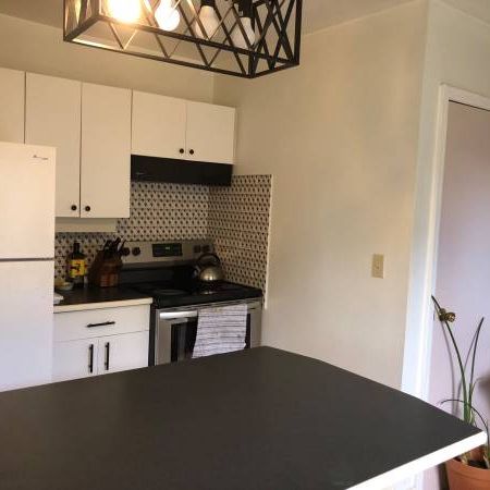 2 bedroom apartment (Main Street area) - Photo 4