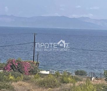 Μονοκατοικία για ενοικίαση - Ραφήνα, - Photo 5