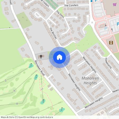 119 Curragh Birin, Castletroy, Limerick, Castletroy, Co. Limerick