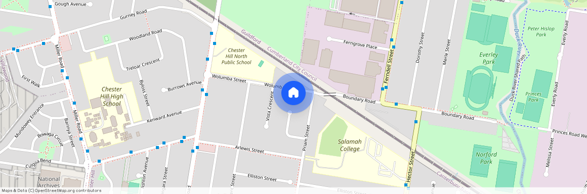 3 Wolumba Street, Chester Hill 2162, New South Wales