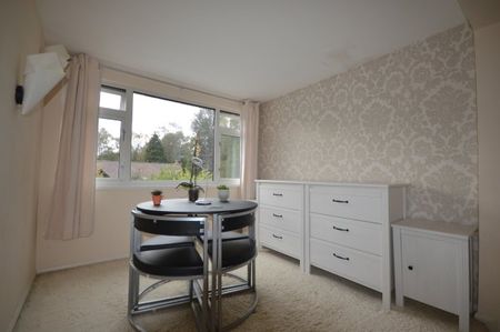 Lyndhurst Road, Landford - Photo 3