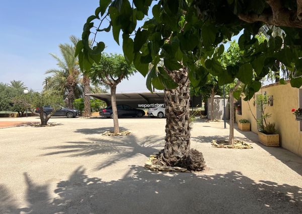 Luxury Villa in Elche, for rent