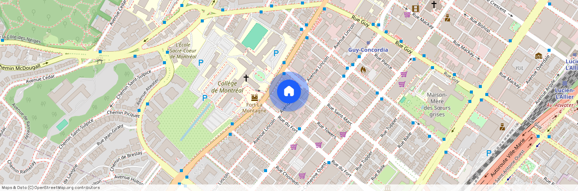 1955 Av. Lincoln, H3H 0C7, Montreal