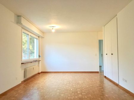 À SEULEMENT 5 MINUTES DE FRICK ! SUPER APPARTEMENT À UEKEN - Photo 5