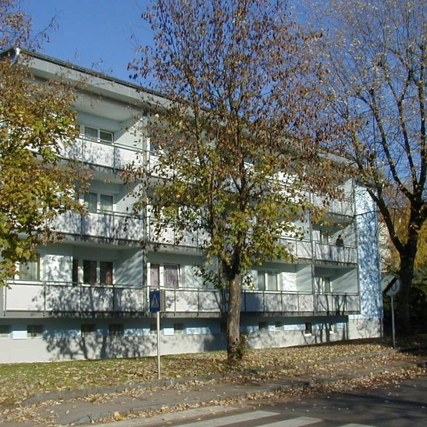 Charmante Garconniere in Haidershofen - Photo 1