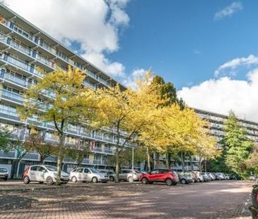 Zijldonk 2317 DP Leiden - Photo 3