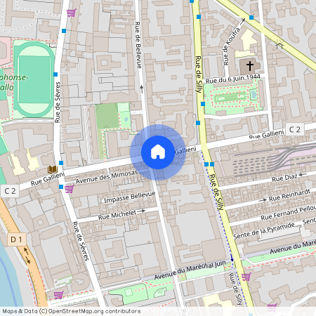 215 Rue Gallieni, 92100 Boulogne-Billancourt