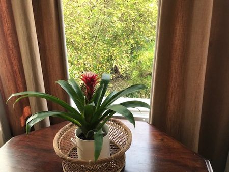 1 Bed Flat, Kings Avenue, SW4 - Photo 4