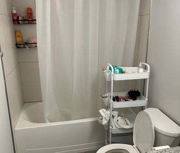 For Lease - 338 Albert Street Unit# 219, Waterloo, Ontario - Photo 6