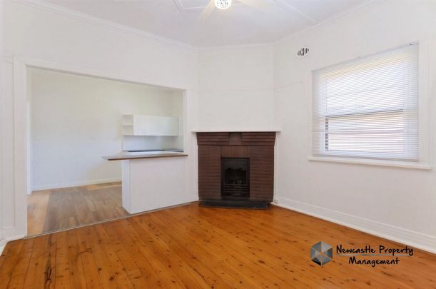 59 Lorna Street, Waratah - Photo 1