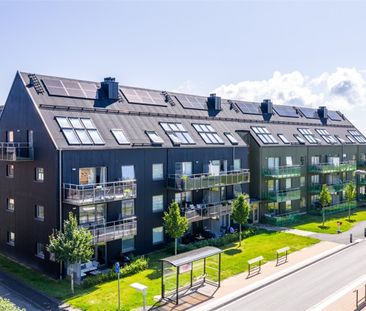 Sagogatan 3E - Foto 5