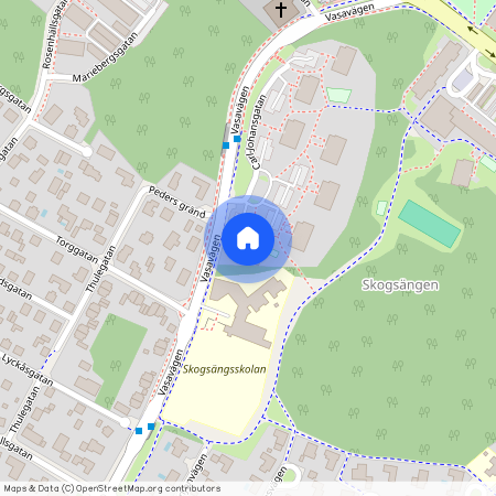 Carl-Johansgatan 2, Skogsängen