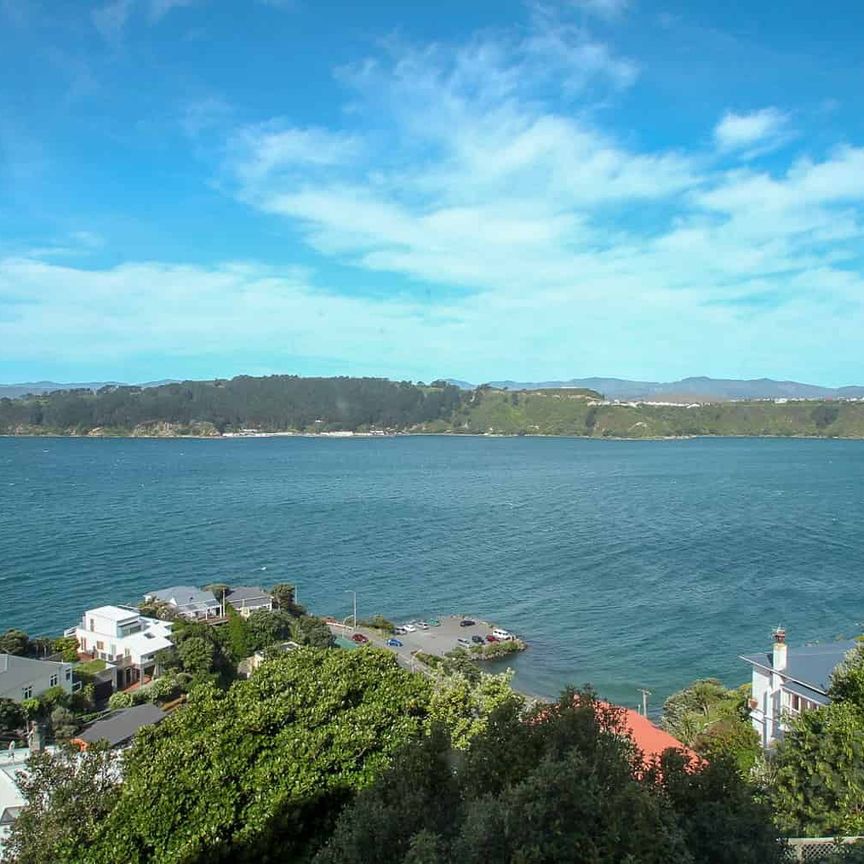 Charming 1BR Flat in Roseneath! - Photo 1