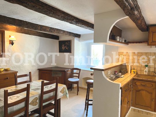 Location Maison 3 pièces 79m² LE CHEYLARD 07160 - Photo 1