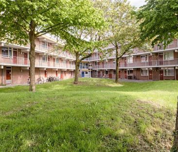Appartement Meentweg 41, Stadshart, Lelystad - À Louer - Foto 3