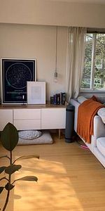 Furnished Sept sublet in Kitsilano - Photo 4