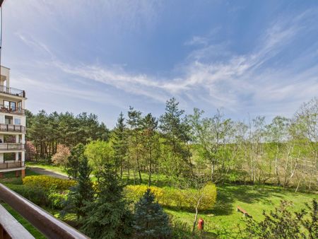 *Panoramiczne okno z tarasem - widok na las* - Фото 2