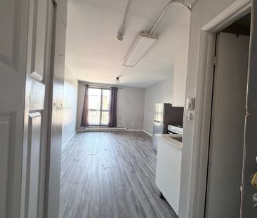 For Lease - 91 Thames Street Unit# 306, Ingersoll, Ontario - Photo 6